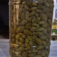 ترشی لگجی مال امسال|خوردنی و آشامیدنی|شوشتر, |دیوار