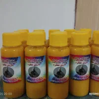 کفتر تهرانی و شهرستانی