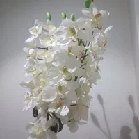 حراج انواع دکوری ظروف گلهای تزیینی گلدان ساعت|صنایع دستی و سایر لوازم تزئینی|کرج, برغان|دیوار