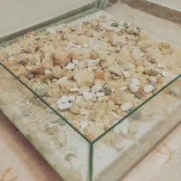 سنگ های زیبا و کمیاب همراه ویترین