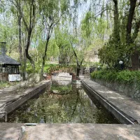 اجاره باغ جنگلی مناسب خانواده
