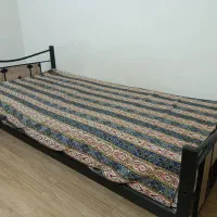 دو عدد تخت یک نفره