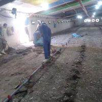 کود.کودمرغ.کودگاو.کودگوسفند.کودمرغی|خدمات باغبانی و درختکاری|شیراز, شهرک گلستان|دیوار