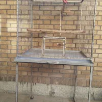 شخصی|پرنده|شاهین‌شهر, خانه کارگر|دیوار