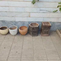 گلدان سفالی سالم|گل و گیاه طبیعی|تهران, افسریه شمالی|دیوار