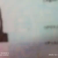 کارت ملی پیداشده