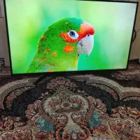 تلویزیون ال ای دی جی پلاس|تلویزیون و پروژکتور|شیروان (خراسان), |دیوار