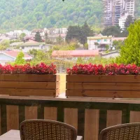 باکس گل ترموود