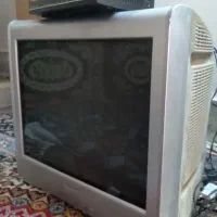 تلویزیون