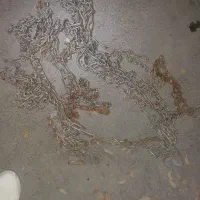 زنجیر چرخ سایپا|قطعات یدکی و لوازم جانبی|کامیاران, |دیوار