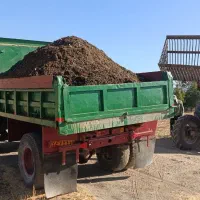 کود حیوانی|گل و گیاه طبیعی|بیستون, |دیوار