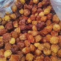 الوچه خشک درجه یک که محصول باغ خودمون