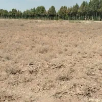 زمین احتشامیه