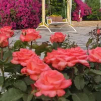 اجاره ویلا باغ|اجارهٔ کوتاهمدت آپارتمان و سوئیت|دزفول, |دیوار