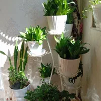 استند بسیار زیبا بدون شکستگی فقط ۷۰۰هزارتومن