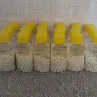 خاویار ‌.تخم حلزون
