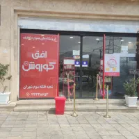 استخدام در افق کوروش خانم و آقا