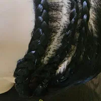 تخفیف یلدایی|خدمات آرایشگری و زیبایی|بندر کنگان, |دیوار