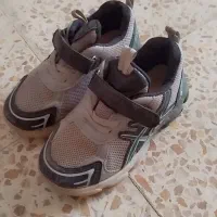 کفشهای درحد نو و تمیز بدون کوچیکترین ایراد|کیف، کفش، کمربند|اهر, |دیوار