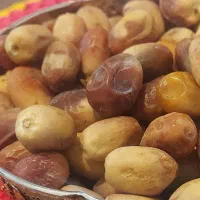 قصب خوش طعم وباکیفیت