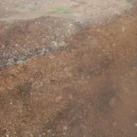 کود حیوانی|خدمات باغبانی و درختکاری|تبریز, |دیوار