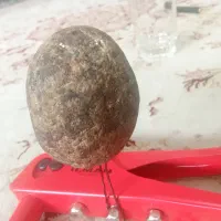 سنگ های قیمتی(شهاب سنگ)