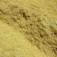 کاه عدس تمیز بدون علف ریز مخصوص دام