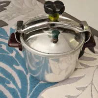 زودپز سالم ۶ لیتری