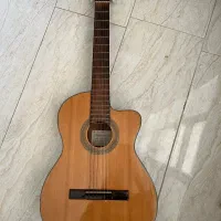 گیتار حرفه ای