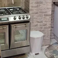 فرگاز