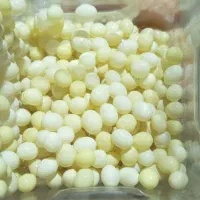 تولید و فروش خاویار حلزون