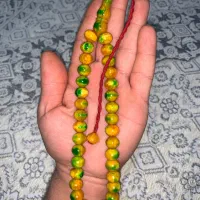سندلوس صدفی