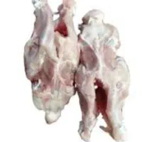 اسکلت مرغ