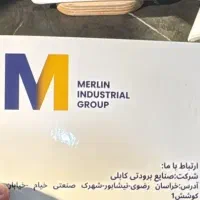 استخدام نیروی کار