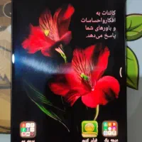 شیائومی ام ۶ پرو|موبایل|ورامین, ورامین|دیوار