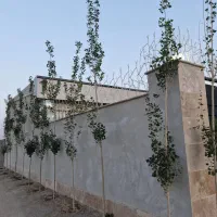 باغ ویلا۲۰۰مترمدرن سهیلیه کردان زعفرانیه زکی اباد|فروش خانه و ویلا|کرج, فاز ۲ مهرشهر|دیوار