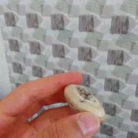 سنگ عتیقه
