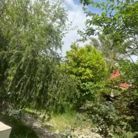 اجاره باغچه