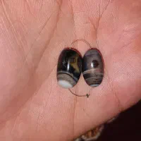 ۱۰ جــفت مهره سلیمانی.جزع و...|کلکسیون اشیاء عتیقه|اهواز, کمپلو جنوبی|دیوار