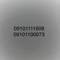 رند دائمی