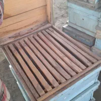 کندو زنبور عسل و پرورش ملکه و دستگاه عسل گیری|حیوانات مزرعه|شیراز, شهرک صنعتی شیراز|دیوار