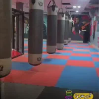 منشی خانم باشگاه ورزشی رزمی سانس آقایان