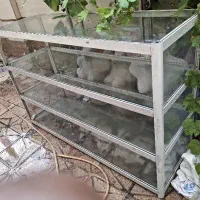مانکن دبه ای بالاتنه زنانه
