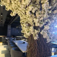 سرآشپز،سالن کار و کارگر ساده رستوران