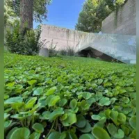 زمین کشاورزی