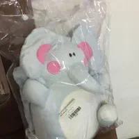 بچگانه محافظ بچگانه