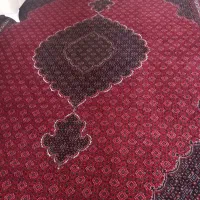 ۲تخته ۱۲متری ماهی در حد نو