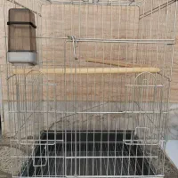 قفس پرنده