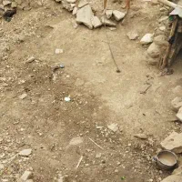 واگذاری توله نگهبان نر|سگ|کرمانشاه, |دیوار