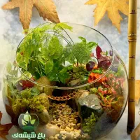 تراریوم ، هدیه روزمادر